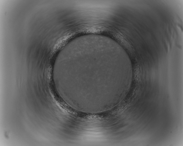 X0000100750736200807101702