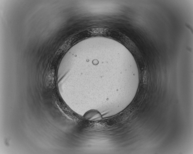 X0000100750737200807101702