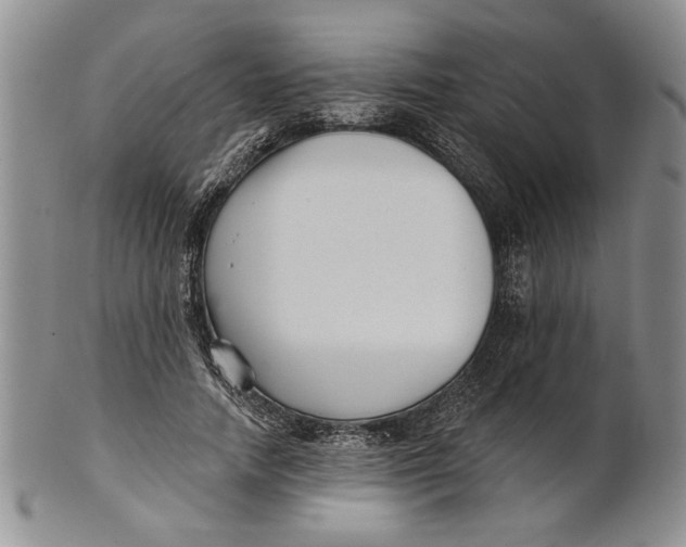 X0000100750738200807101702