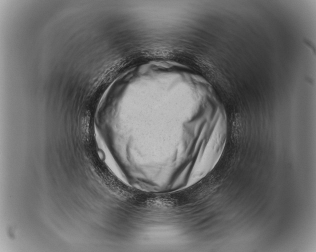 X0000100750739200807101702