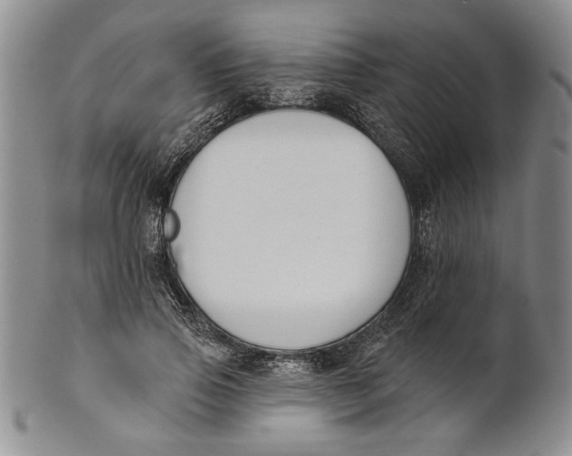 X0000100750741200807101702