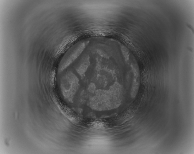 X0000100750742200807101702