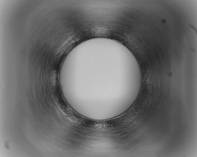 X0000100750744200807101702