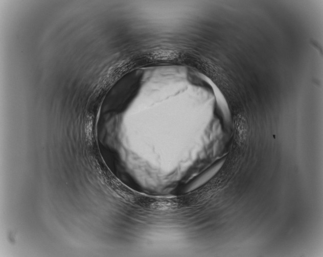 X0000100750745200807101702