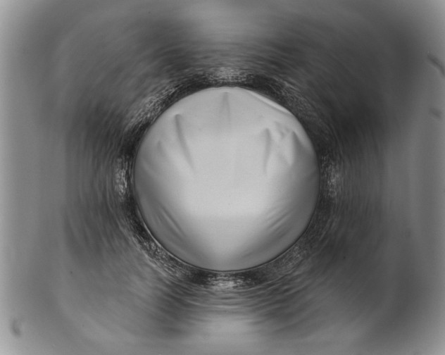 X0000100750746200807101702