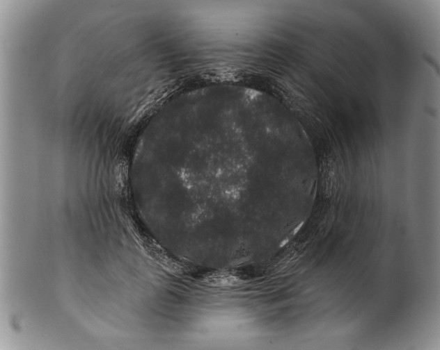 X0000100750747200807101702