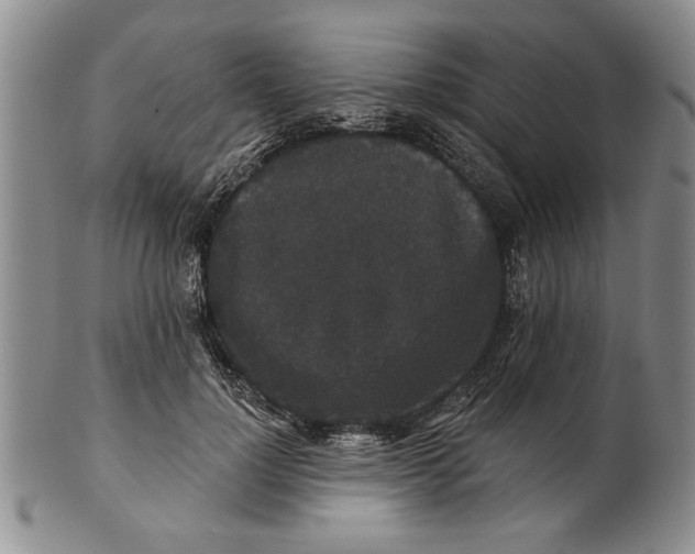 X0000100750748200807101702