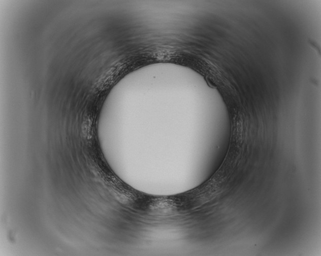 X0000100750750200807101703