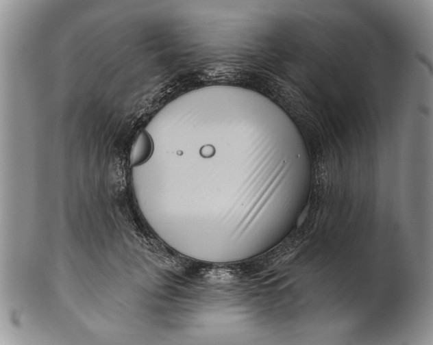 X0000100750751200807101703