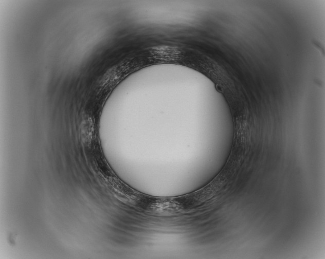 X0000100750752200807101703