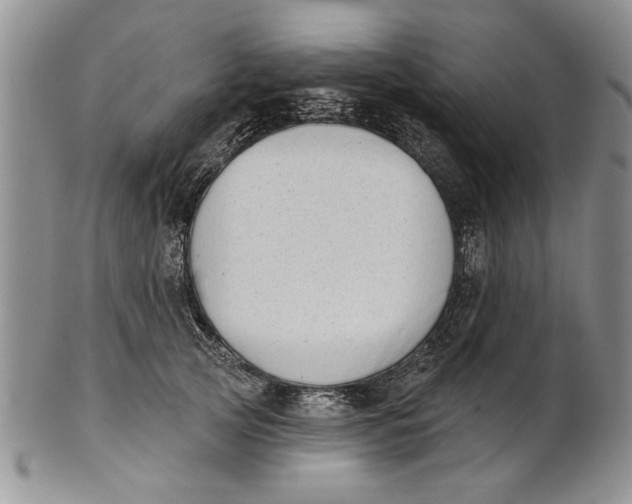 X0000100750753200807101703