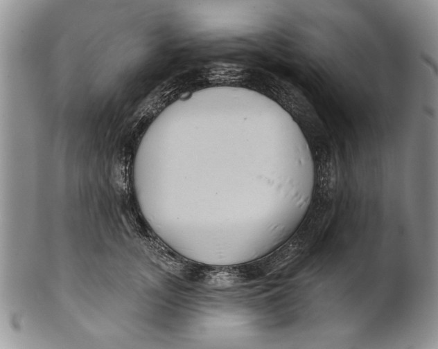 X0000100750755200807101703