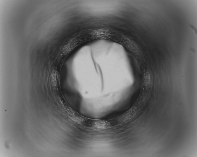 X0000100750757200807101703