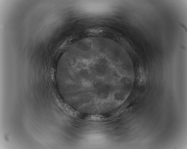 X0000100750758200807101703