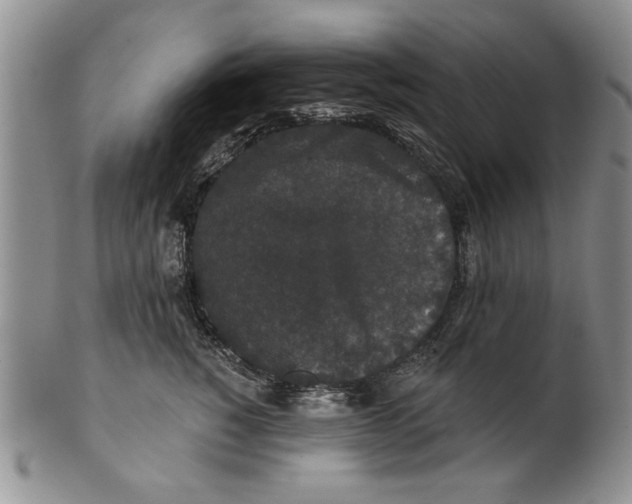 X0000100750760200807101703