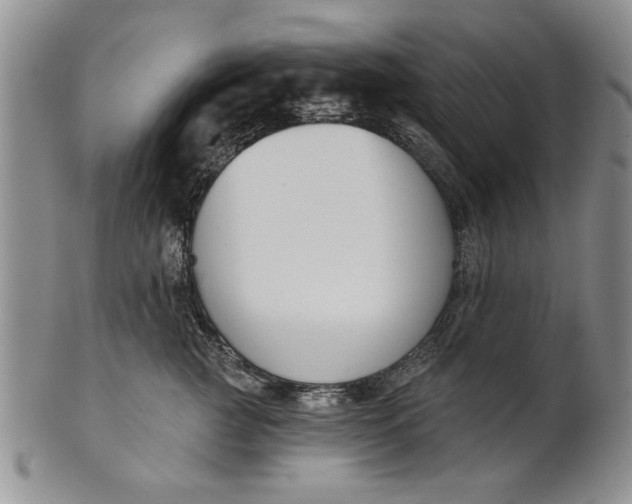 X0000100750761200807101703