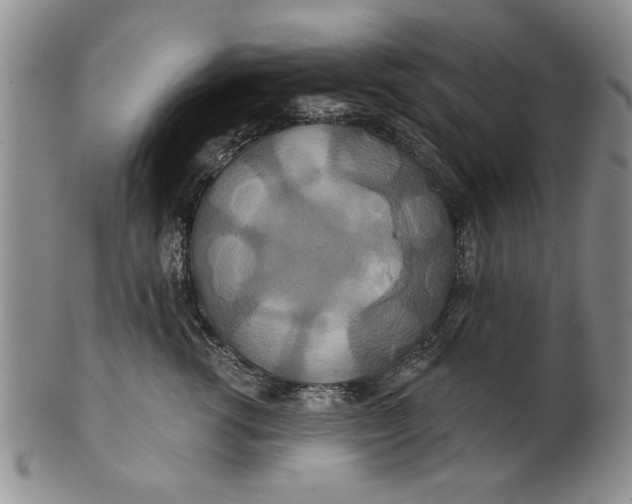 X0000100750762200807101703