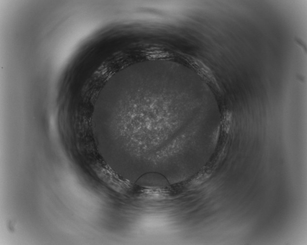 X0000100750763200807101703