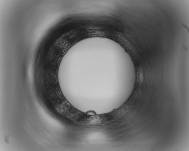 X0000100750764200807101703