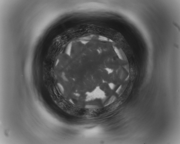 X0000100750765200807101703