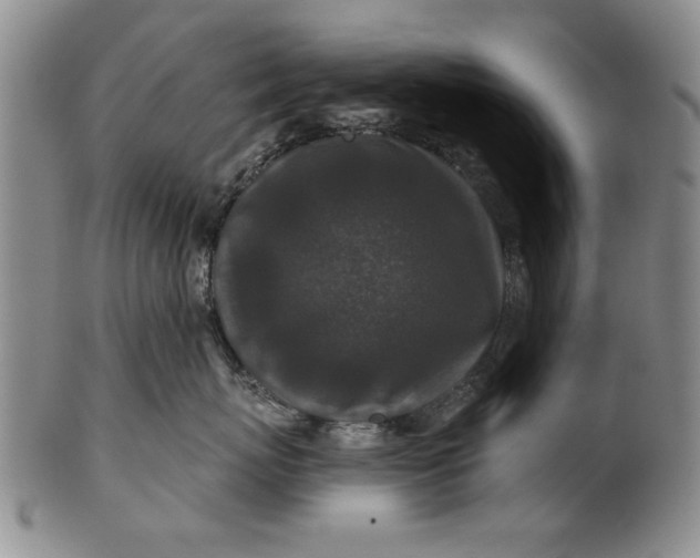 X0000100750767200807101703