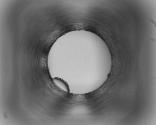 X0000100750768200807101703