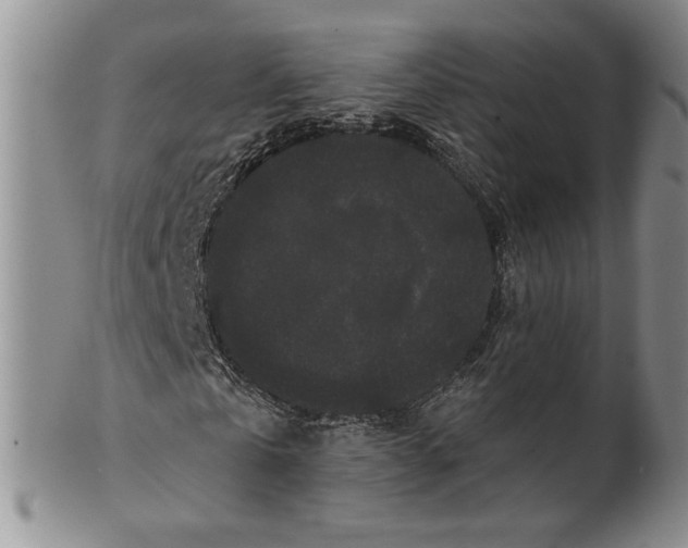 X0000100750769200807101702