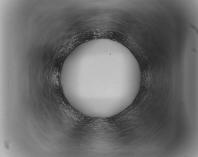 X0000100750770200807101702