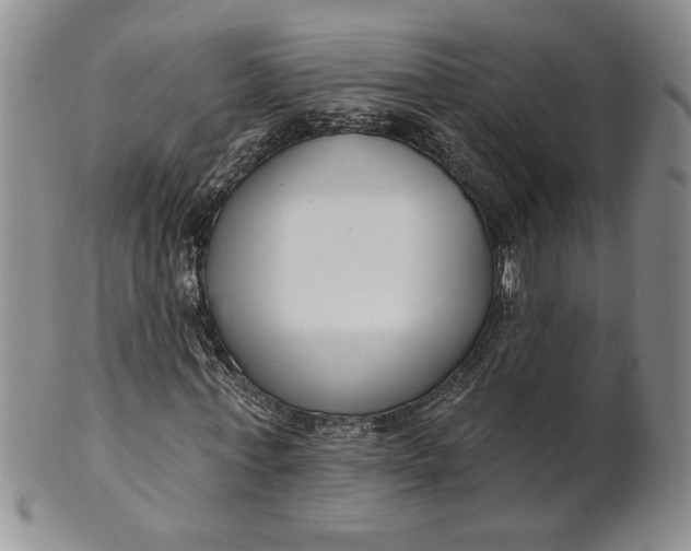 X0000100750771200807101702