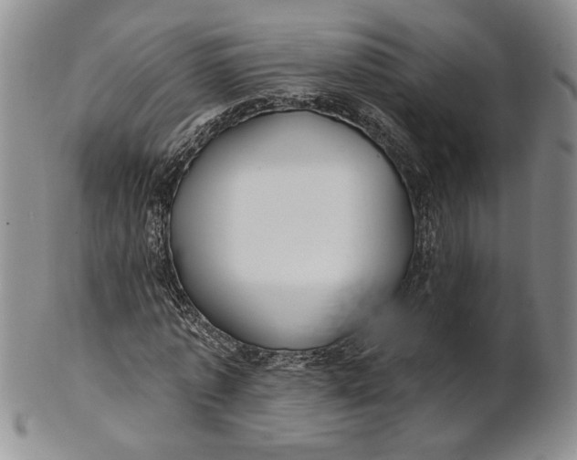 X0000100750773200807101702