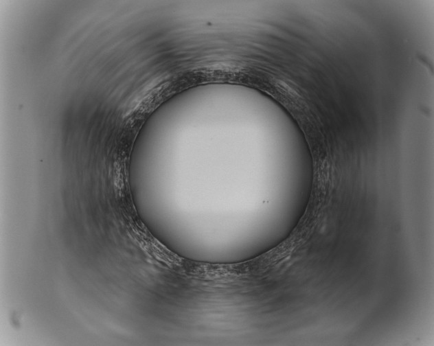 X0000100750774200807101702