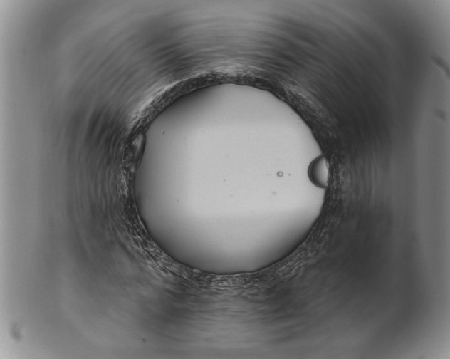 X0000100750776200807101702