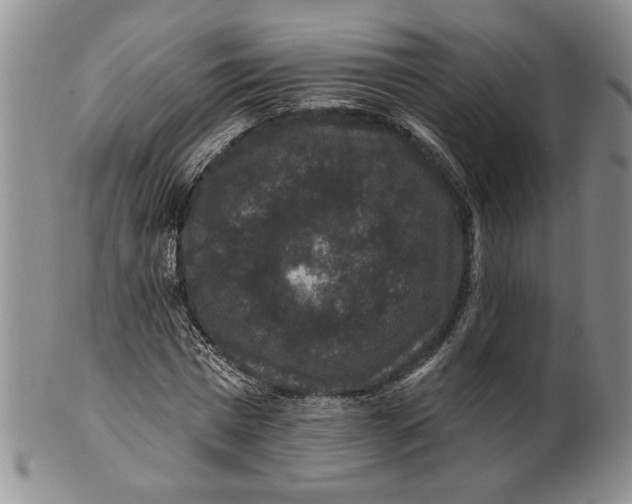 X0000100750777200807101702