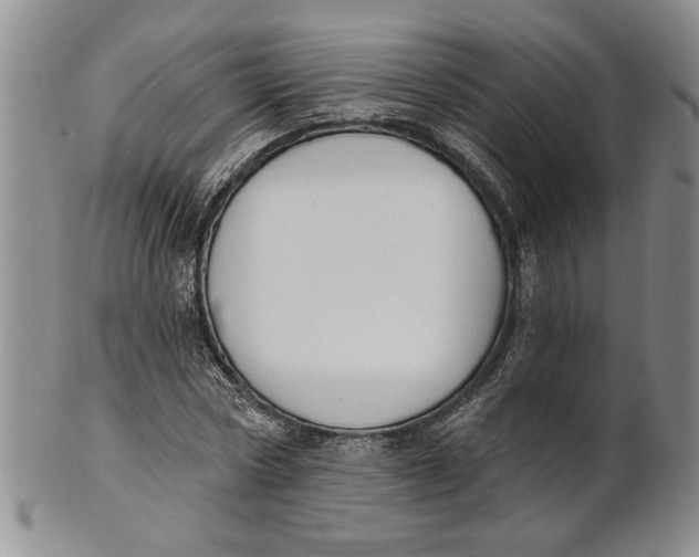 X0000100750778200807101702