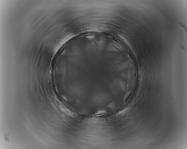 X0000100750779200807101702