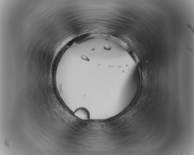 X0000100750780200807101702