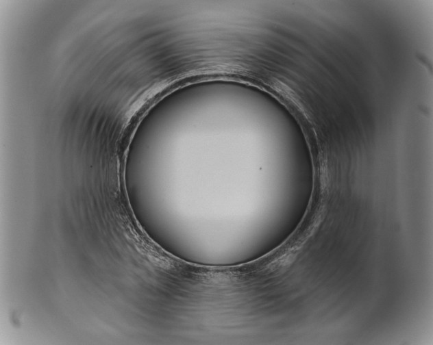 X0000100750781200807101702