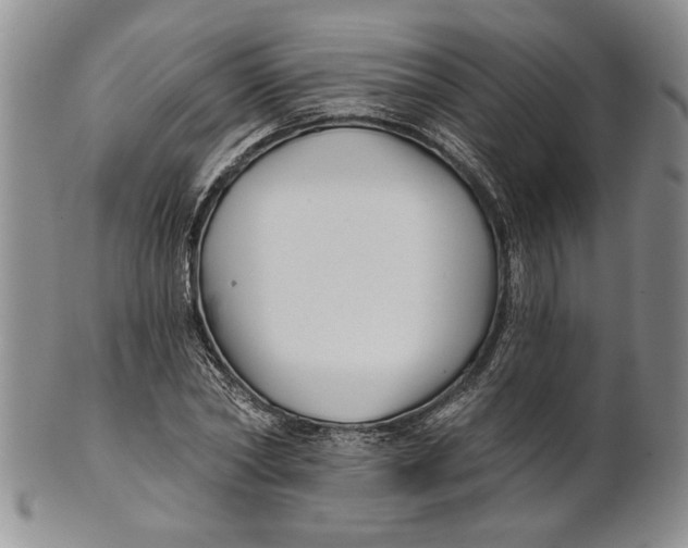 X0000100750782200807101702