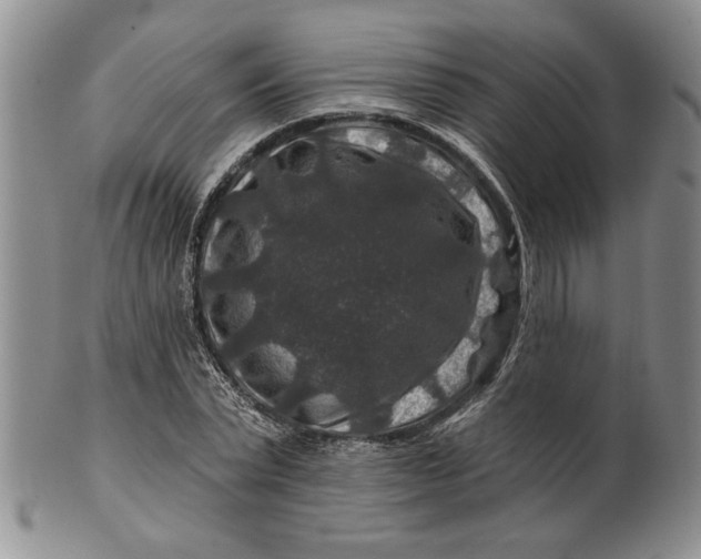 X0000100750783200807101702