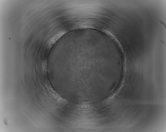 X0000100750785200807101702