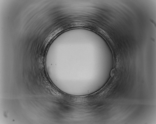 X0000100750786200807101702