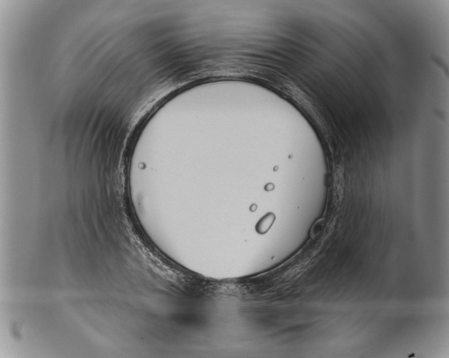 X0000100750787200807101702