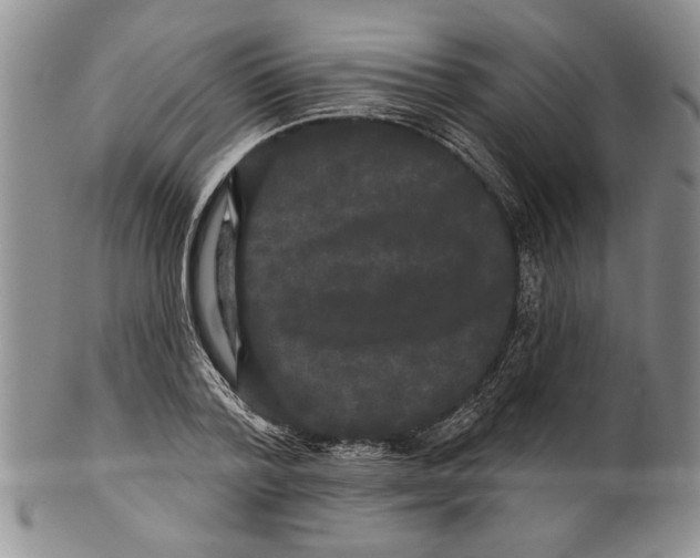 X0000100750788200807101702