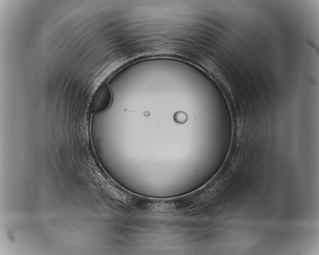 X0000100750789200807101702