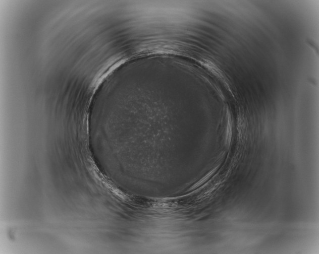 X0000100750790200807101702