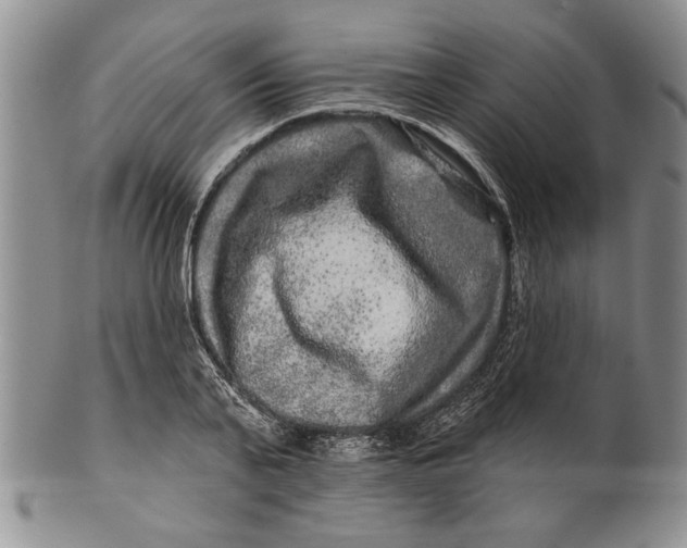 X0000100750791200807101702