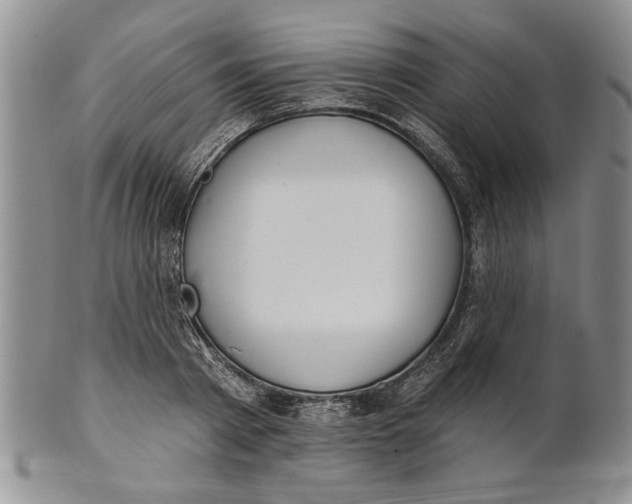 X0000100750793200807101702