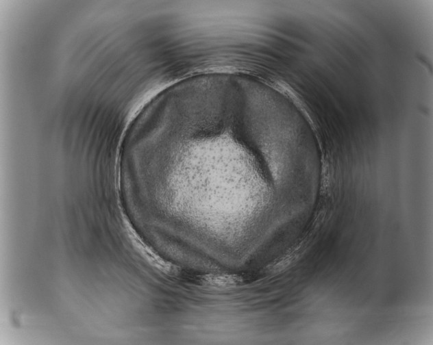 X0000100750795200807101702