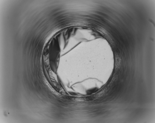 X0000100750796200807101702