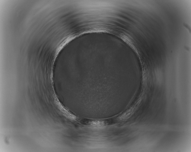 X0000100750797200807101702